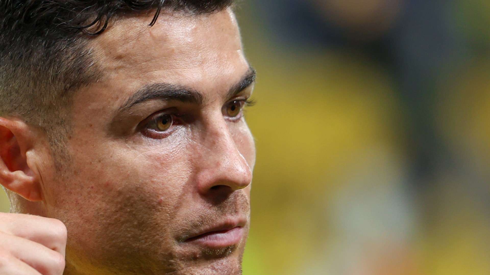 他们所做的 他们所做的