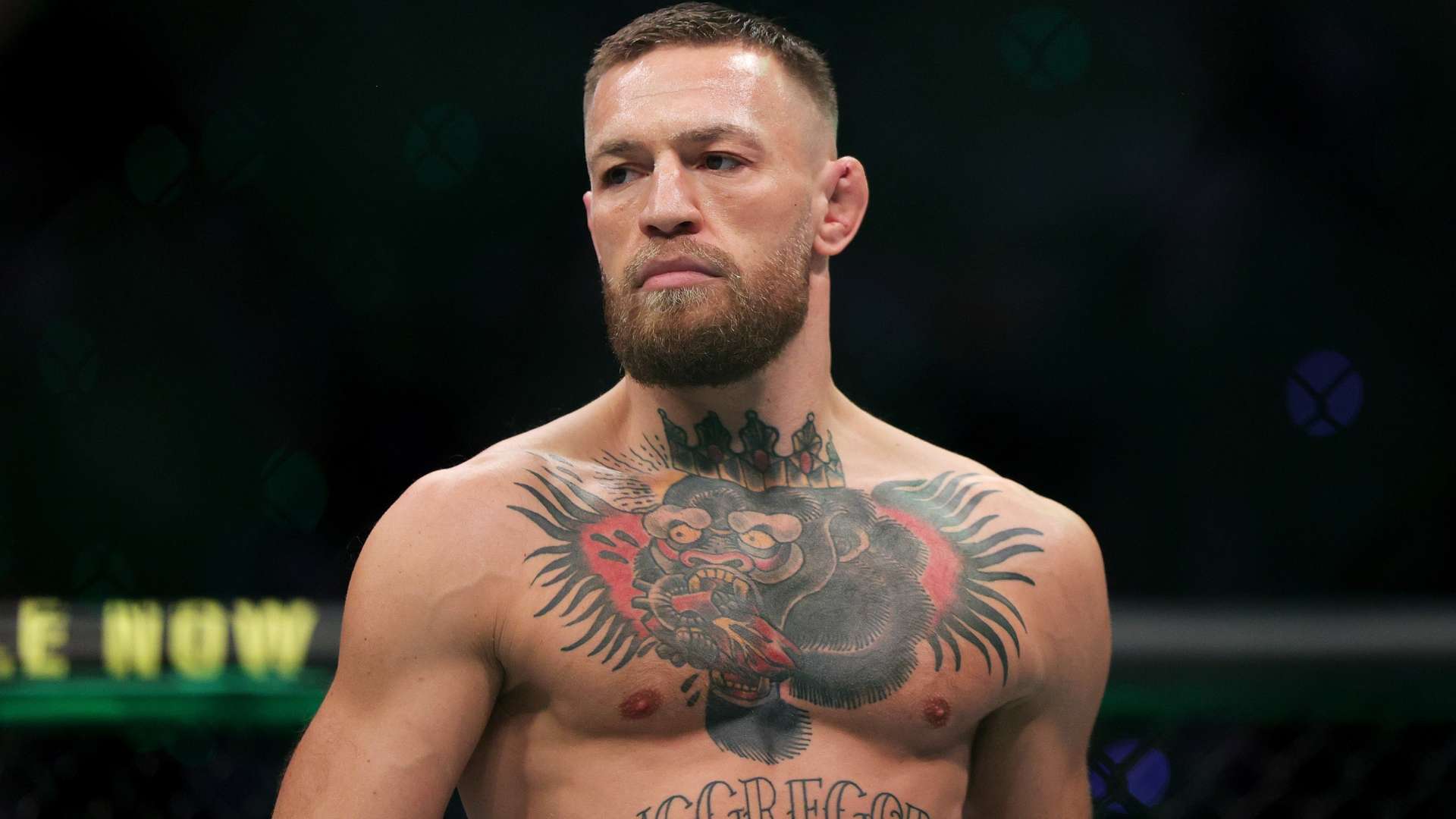 牵动着无数 牵动着无数