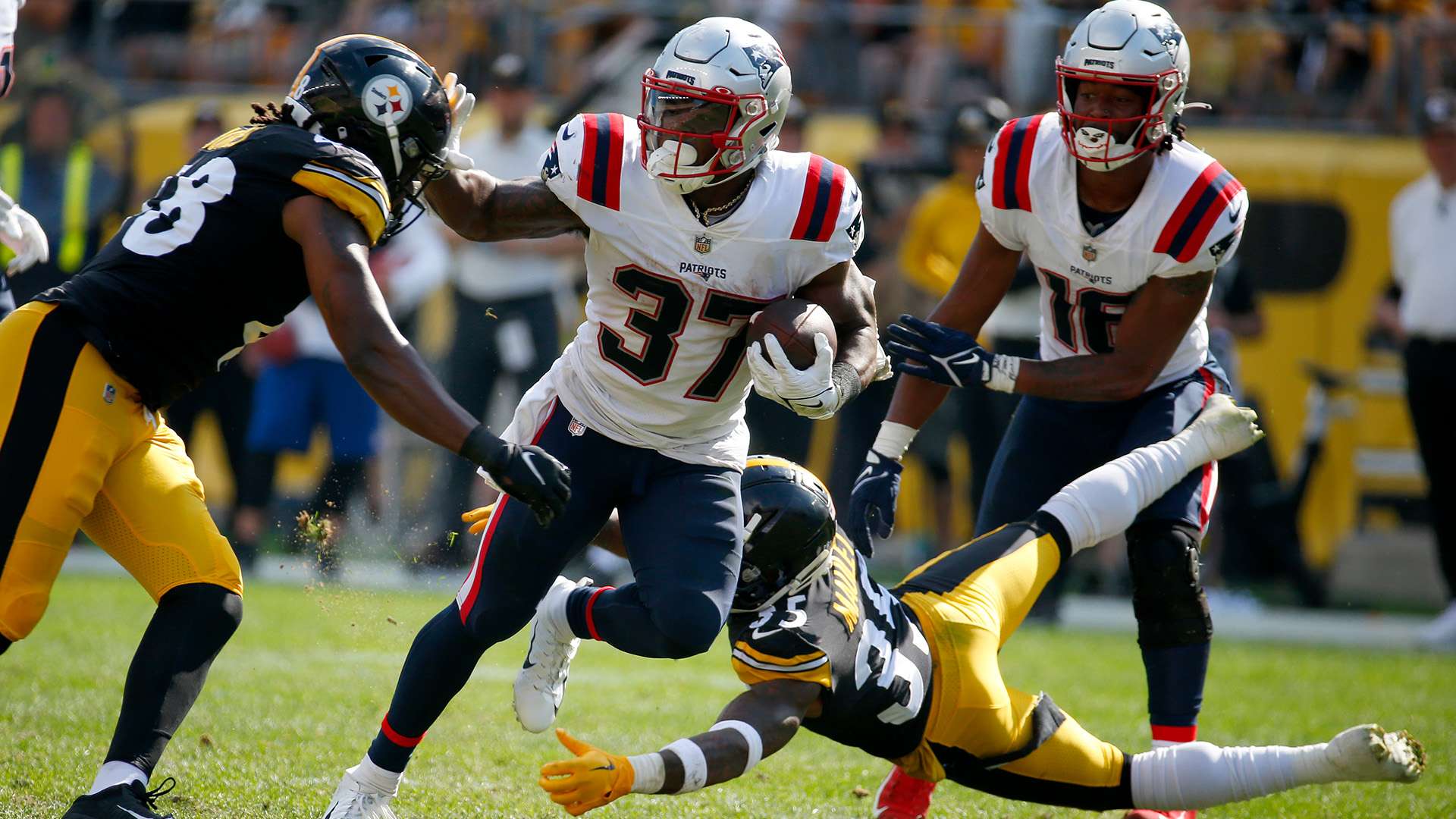 不仅为孩子 不仅为孩子